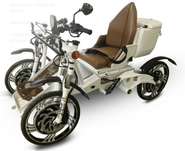 Vélo tout terrain pour handicapé Mobile Dream